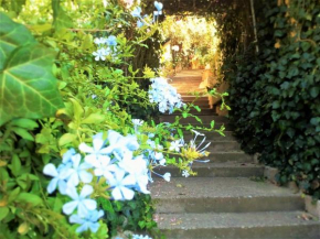 Delle Rose